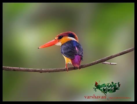 Hotel Varshavan- Nature, Hobby And Art Residency Dāpoli Exteriér fotografie